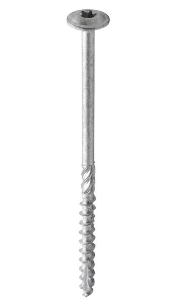 Vis bombée embase Torx SR